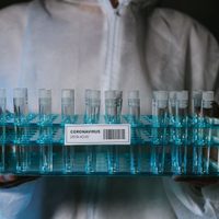 Neuquén: sin casos positivos de coronavirus y 15 sospechosos descartados