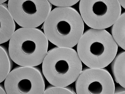 No tires los rollos de papel higiénico: creá esto tan chic para tus plantas o para colocar lo que quieras