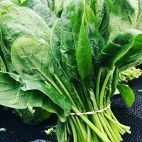 Canastitas de espinaca con masa integral: divinas para comer bien calentitas en casa este domingo