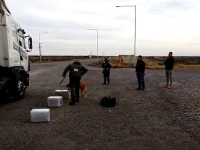 Gendarmería incautó más de 78 kilos de marihuana en San Antonio Oeste