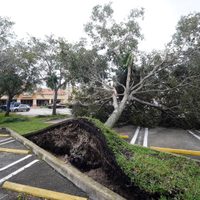 Ian inunda el suroeste de Florida; hay gente atrapada (videos)
