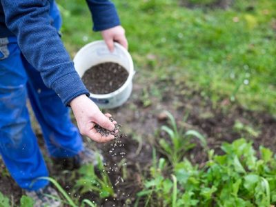 Estos abonos caseros que estás usando en tus plantas podrían matarlas si cometes estos errores