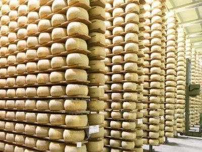 Muere un hombre de 74 años en Italia tras quedar sepultado por más de 15 mil quesos