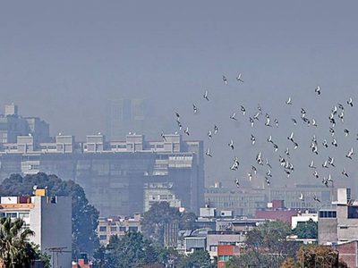 Contaminación y coronavirus, mezcla letal