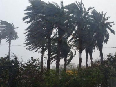 Martes ventoso en Argentina: qué zonas serán afectadas según el SMN