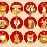 Animales del Horóscopo Chino: descubrí las características de cada signo y con cuáles sos más compatible