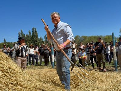 En Neuquén, la tolerancia cero no distingue apellidos