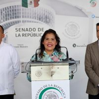 Senadores de Morena piden a Alejandro Murat retirar su registro de afiliación al partido