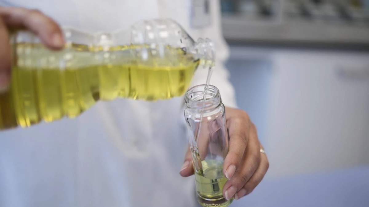 Botellas de aceite para reciclaje. Fuente: (X)