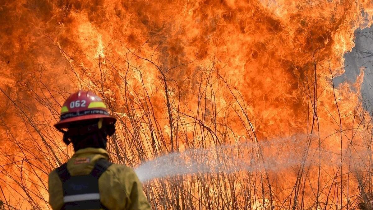 Incendios. Fuente: (Twitter)