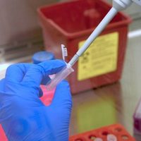 Guanajuato registra sus primeros dos casos de Ómicron