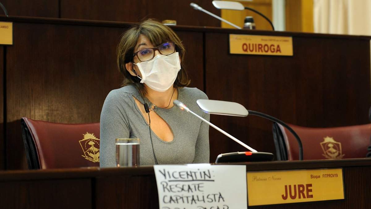 Diputada provincial Patricia Jure en la sala de sesiones en Legislatura. Fuente: (Twitter).