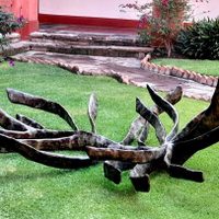 La artista mexicana María Lagunes llega al Instituto Italiano de Cultura