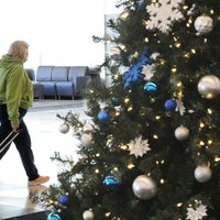 Delta y United Airlines cancelaron 200 vuelos para Navidad y la culpable es la variante Ómicron