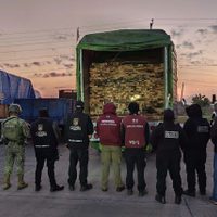 Cae en Tlalpan hombre por transportar madera ilegal