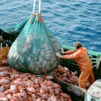 Cierre de paritarias para cuatro gremios más: así quedaron las subas