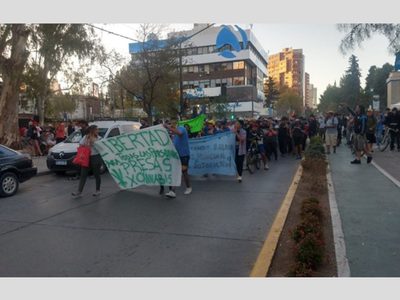 Cannabicultores de Neuquén reclamaron por una reforma en la Ley de Drogas