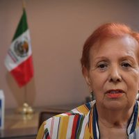 Oaxaca: PAN presentará 12 controversias constitucionales en contra de la Reforma al Poder Judicial