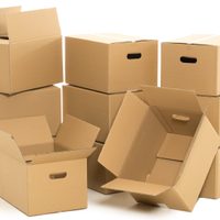 Con solo 1 caja de cartón: creá lo más útil para beneficiar a tus plantas