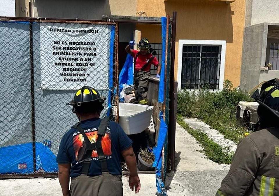 El inmueble donde fueron encontrados los perros