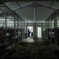 Tribunal de EU bloquea orden judicial que prohibía la entrada de más migrantes en Alligator Alcatraz