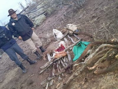 Un hombre deberá realizar tareas comunitarias tras haber organizado una salida de caza ilegal