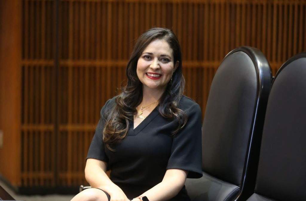 La legisladora en sesión