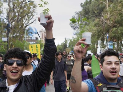 Neuquén se sumó a la Marcha de la Marihuana en reclamo de una legalización integral de la planta