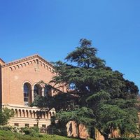 En cuarentena, más de 900 estudiantes de Los Ángeles por sospecha de sarampión