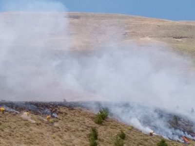 Bomberos lucharon contra un incendio en un bosque de Corfone, en Junín de los Andes