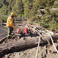 Lograron contener el incendio que se había desatado en el lago Tromen