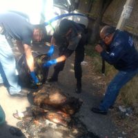 Localizan un cuerpo desmembrado y calcinado en Guadalajara
