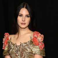 ¡Lo dijo! Lana del Rey respondió a las críticas y dio un anuncio sobre su música. ¿Qué pasó?
