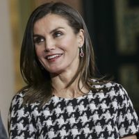 Los cinco estampados más originales que lució la reina Letizia. ¡Qué innovadora!