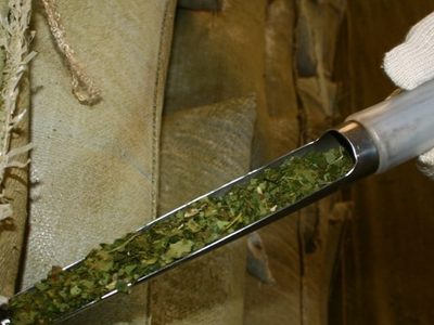 La cosecha de yerba mate cayó más del 30%