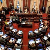 Senado: la suspensión de las PASO tiene dictamen y será tratada en el recinto