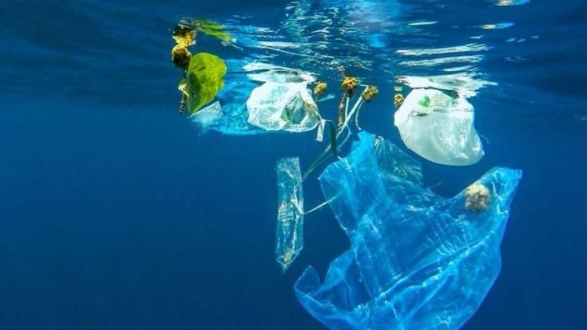 A través del proyecto GloLitter, los organismos buscan disminuir el uso de plásticos en el transporte marítimo y la pesca