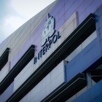 CJNG ahora incursiona en sofisticados ciberfraudes financieros: así lo explica Interpol