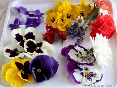 Flores comestibles: color y aromas para acompañar los platos