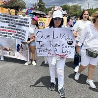 Marchan en Puebla contra el maltrato animal