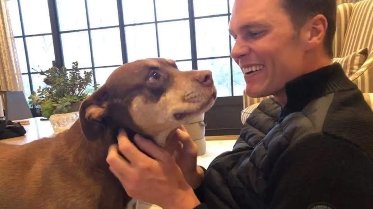 Tom Brady con su mascota