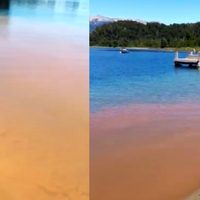 Volvieron las manchas en el lago Nahuel Huapi en Bahía las Balsas que aleja a residentes y turistas