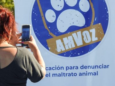 Se recibieron 700 denuncias durante el primer semestre en la aplicación AMVoz