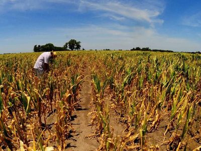 Por la sequía, podrían perderse más de 4 mil millones de dólares