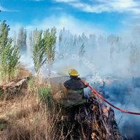 Incendio de pastizales consumió dos hectáreas de chacra en Valentina Sur