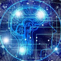 Los humanos se conectarán pronto a internet directamente con el cerebro, según científicos españoles
