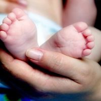 ¡Bebés 2020!: Los primeros nacimientos del año en Neuquén. Fotos