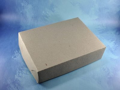 Con solo 1 caja de cartón: creá este contenedor bien espacioso para guardar cosas