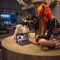 Videollamadas en Microsoft Teams ya tienen encriptación de extremo a extremo
