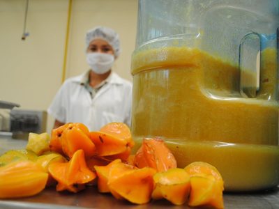 Joven científica propone obtener levadura de fruta tropical para hacer vino